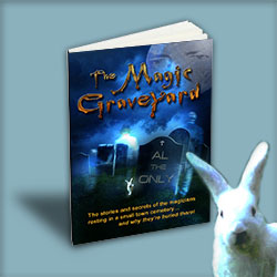 Book The Magic Graveyard by Al The Only
